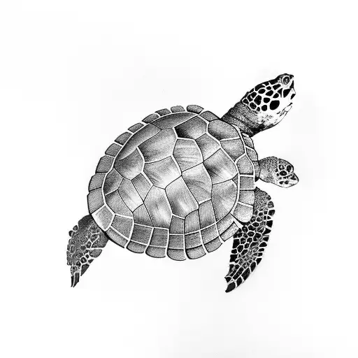 Turtle tattoo design idea