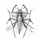 praying mantis on a sick tattoo design idea