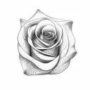 A dotwork design combining the elegance of a rose with the sharpness of a throwing star tattoo design idea