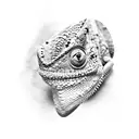 chameleon  tattoo design idea