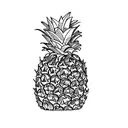 a pineapple tattoo design idea