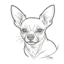 chihuahua dog tattoo design idea