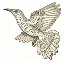 A mockingbird flying with its wings out  tattoo design idea