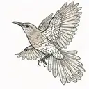 A mockingbird flying with its wings out  tattoo design idea