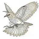 A mockingbird flying with its wings out  tattoo design idea