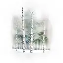 russian birch tree tattoo design idea