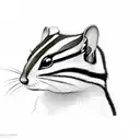 chipmunk tattoo design idea