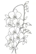 singular orchid spine tattoo   tattoo design idea