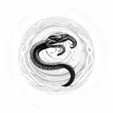 moon with a black snake wrapped around the moon, it sheds its skin and makes it look like 2 snakes descending down  tattoo design idea