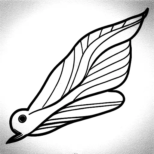 sleek flying American Robin wings spread line art tattoo  tattoo design idea