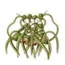 Hydra with three heads  tattoo design idea