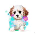 cavoodle tattoo design idea