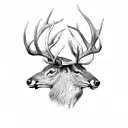 elk with american football, basketball and voleyball stock un the antler tattoo design idea