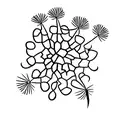 Three interconnected hearts made of dandelion seeds tattoo design idea