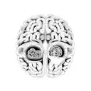 merge human brain and human heart tattoo design idea