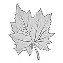 Maple Leaf tattoo design idea