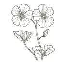 beaten down geranium molle tattoo design idea