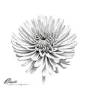 Chrysanthemum tattoo design idea