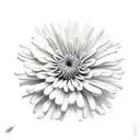 Chrysanthemum tattoo design idea