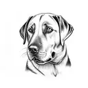 labrador dog outline  tattoo design idea