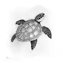 turtle surrounded by butterflys  tattoo design idea