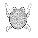 Turtle - Half the Back is waves, half is a palm tree tattoo design idea