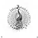 peacock with the full body down below and all the feathers fully spread out and wrapping up above the head tattoo design idea