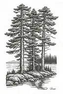 three Douglas fir trees standing next to a river flowing. The river flows at the bottom of the imahe.  tattoo design idea