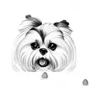 Dog malteser shih tzu  tattoo design idea