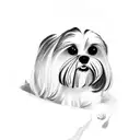 Dog malteser shih tzu  tattoo design idea
