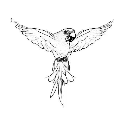 parrot tattoo design idea