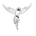 parrot tattoo design idea