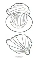 sea shell tattoo design idea
