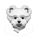bichon maltes tattoo design idea