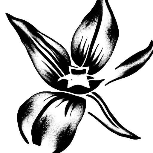 Tiger Lily flower with two stars on the top right side tattoo design idea