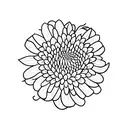 aster and chrysanthemum and morning glory bouquet  tattoo design idea