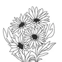 aster and chrysanthemum and morning glory bouquet  tattoo design idea
