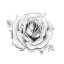 Amelia name with roses  tattoo design idea