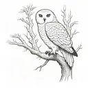 Hedwig in a tree tattoo design idea