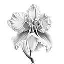 daffodil, violet and iris  tattoo design idea