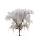 Raging river / willow tree tattoo design idea