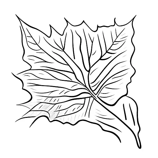 ash tree leaf tattoo design idea