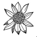 edelweiss flower with stem and 1968 tattoo design idea