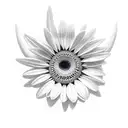 shark with gerber daisy tattoo design idea