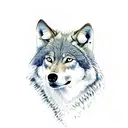 wolf with celta simbols tattoo design idea