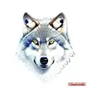 wolf with celta simbols tattoo design idea
