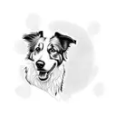 Daisy, border collie tattoo design idea