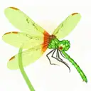 dragonfly with green, yellow and red gradient and no background tattoo design idea