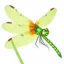 dragonfly with green, yellow and red gradient and no background tattoo design idea