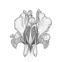 Heather and iris  tattoo design idea